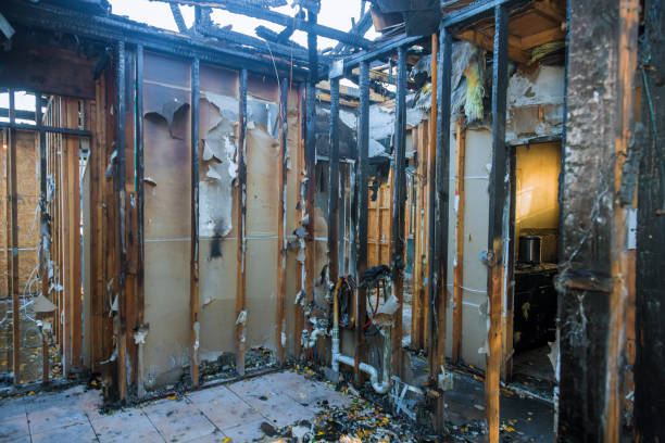 Professional Fire Damage Assessment technician working in Eton, GA